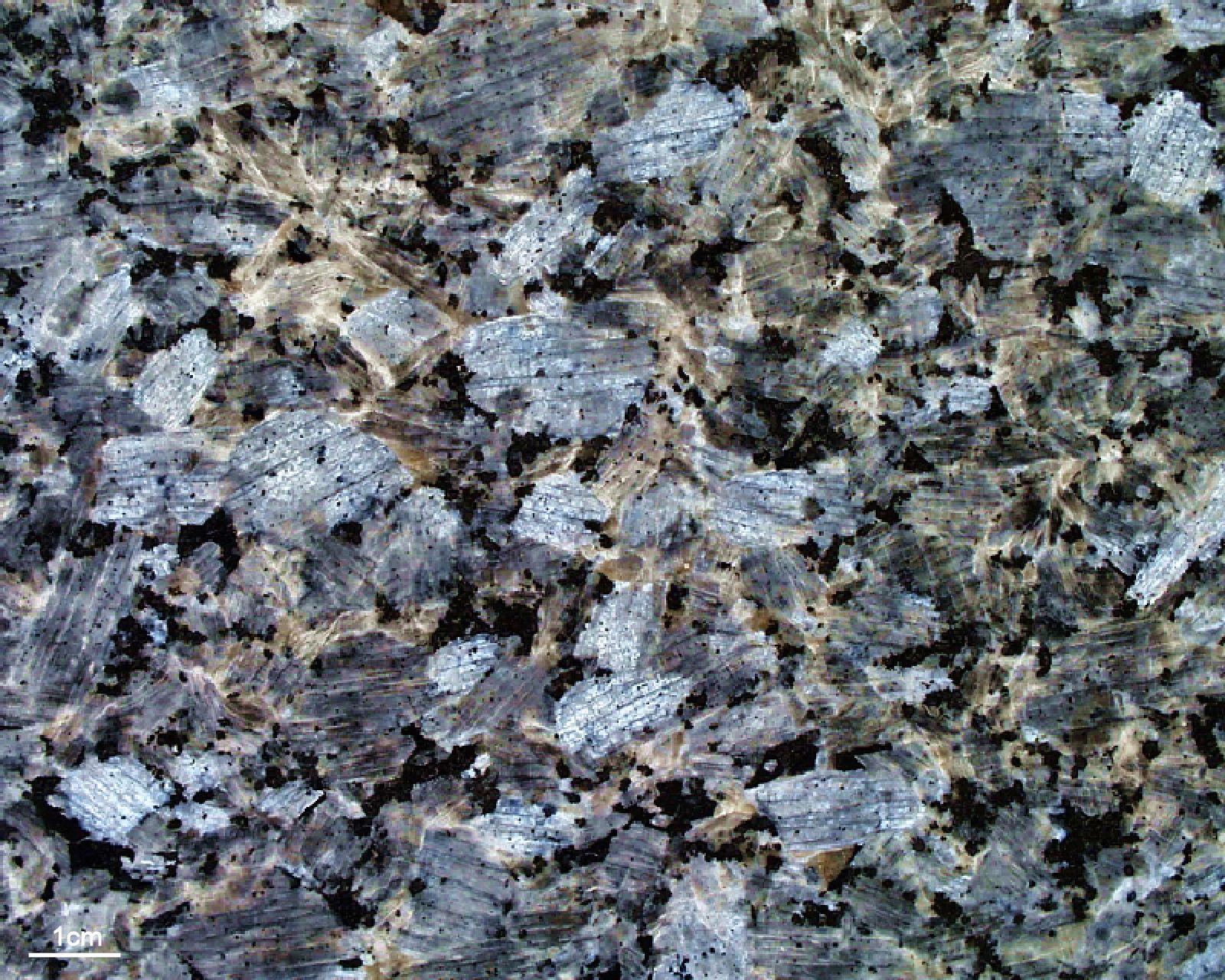 Marina Pearl Marina Pearl