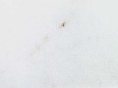 Marmore Branco Extra Marmore Branco Extra