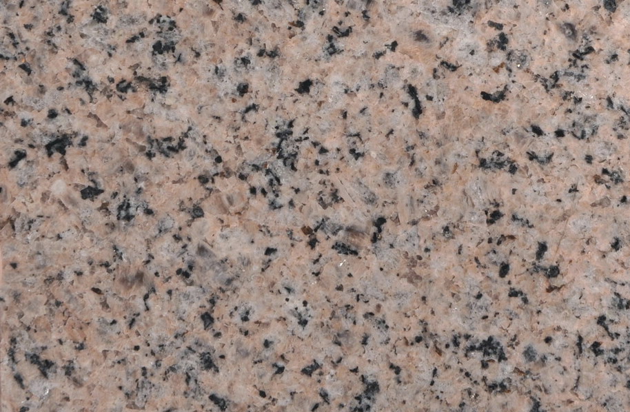 Blossom of Mengshan Blossom of Mengshan