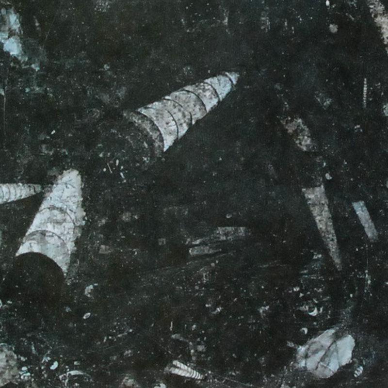 Fossil Black Fossil Black