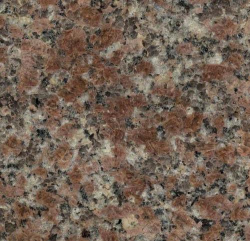 Laizhou Red Laizhou Red