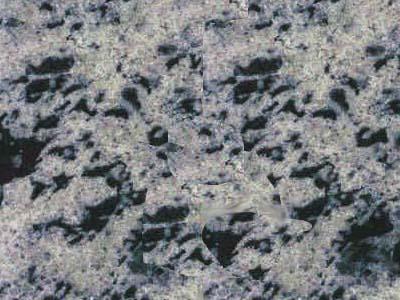 Lake Placid Blue Lake Placid Blue