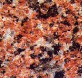 Light Rideau Red Light Rideau Red