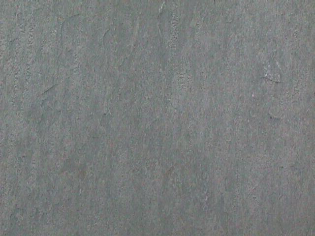 Lime Green Lime Green