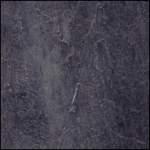 Lime Peacock Lime Peacock