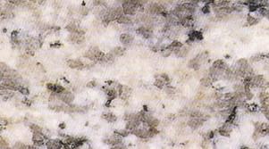 Longtian White Longtian White