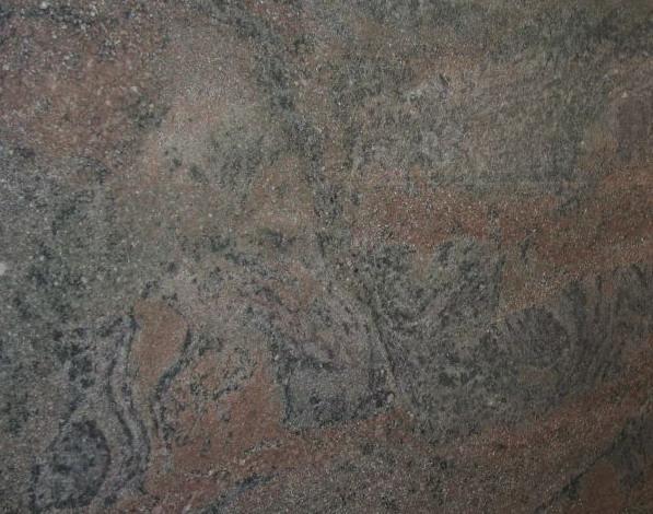 Kiwi Green Kiwi Green