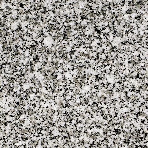 Branco Preto Do Barrocal Branco Preto Do Barrocal