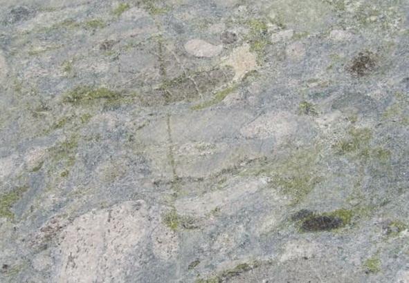 Coto Green Coto Green