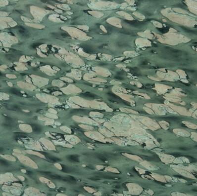 Basiya Green Basiya Green