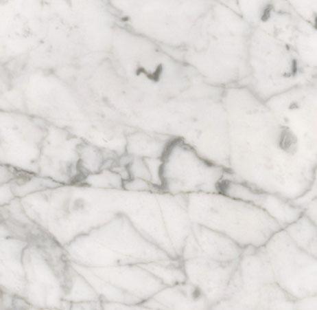 White Carrera White Carrera