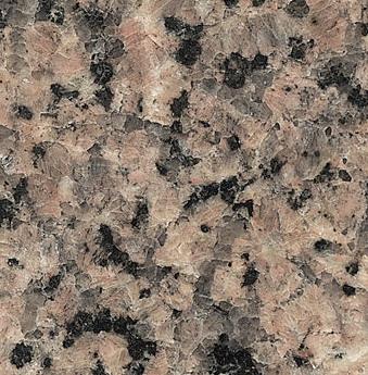 Bisha Violet Bisha Violet