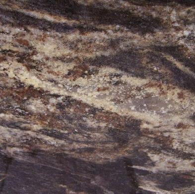 Black Lumiere Black Lumiere