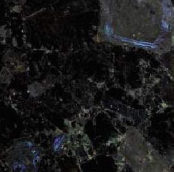 Black Polar Black Polar