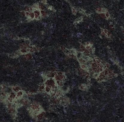 Blue Barracuda Cc Blue Barracuda Cc