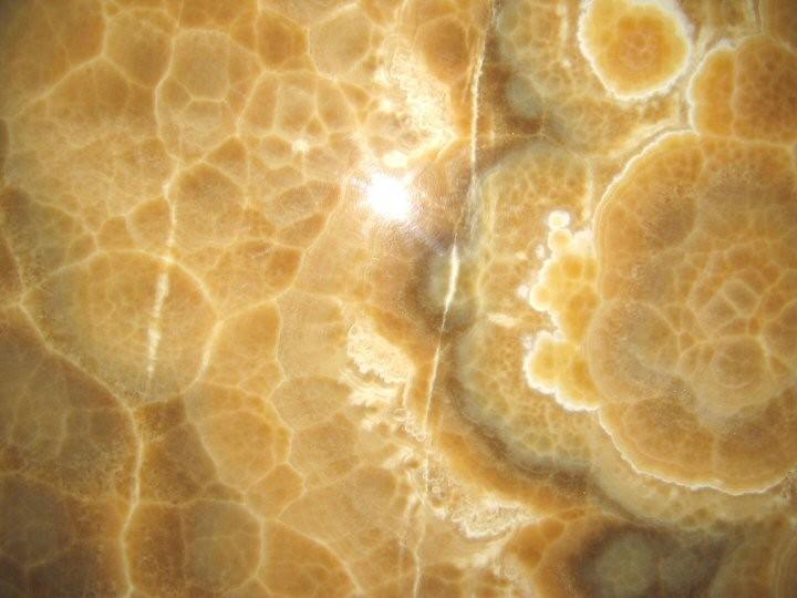 Brown Onyx Brown Onyx