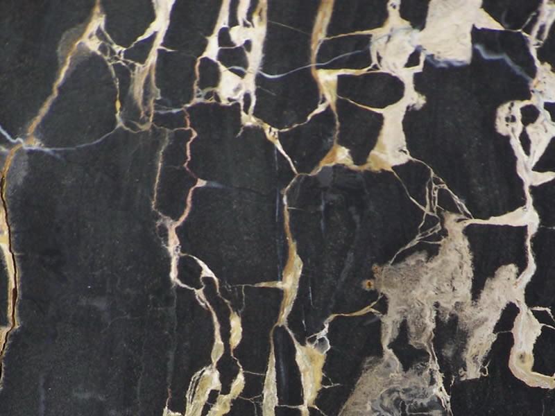 Austral Gold Black Austral Gold Black