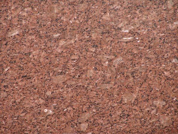 Australian Brown Australian Brown