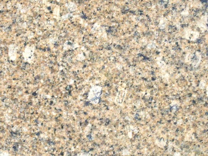 Autumn Gold Autumn Gold