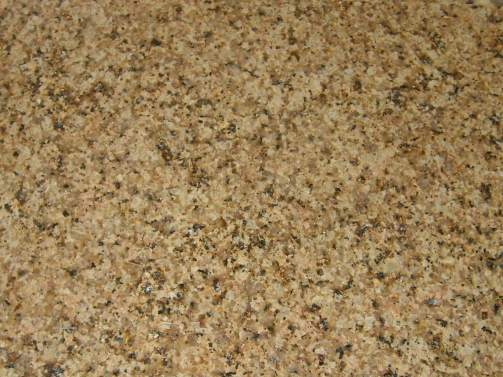 Autumn Leaf Autumn Leaf