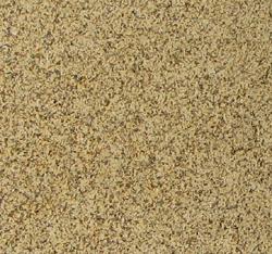 Autumn Leaves Autumn Leaves