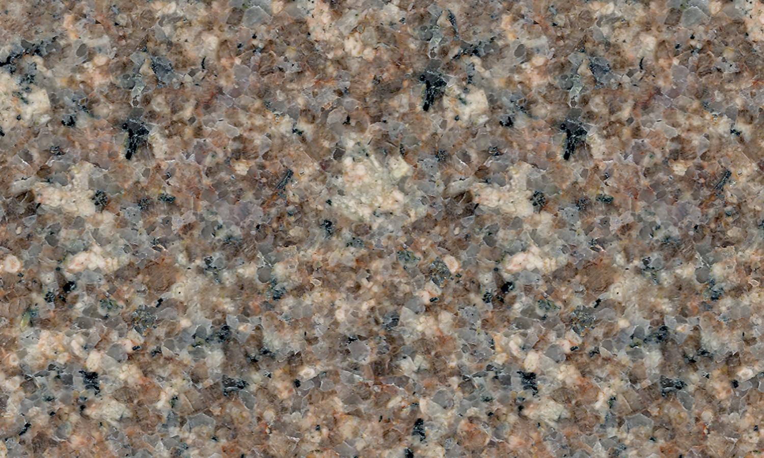 Autumn Rose Autumn Rose