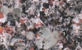 Azalea Red of Feng City Azalea Red of Feng City