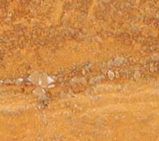 Azarshar Yellow Azarshar Yellow