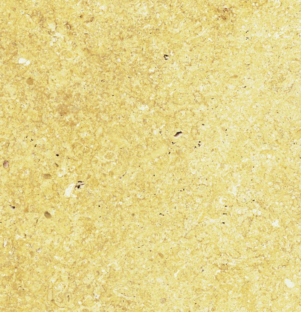 Giallo Tabae New Gold Giallo Tabae New Gold