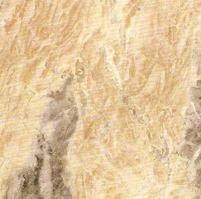 Gold Mocca Gold Mocca