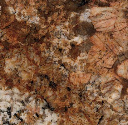 Golden Apricot Golden Apricot