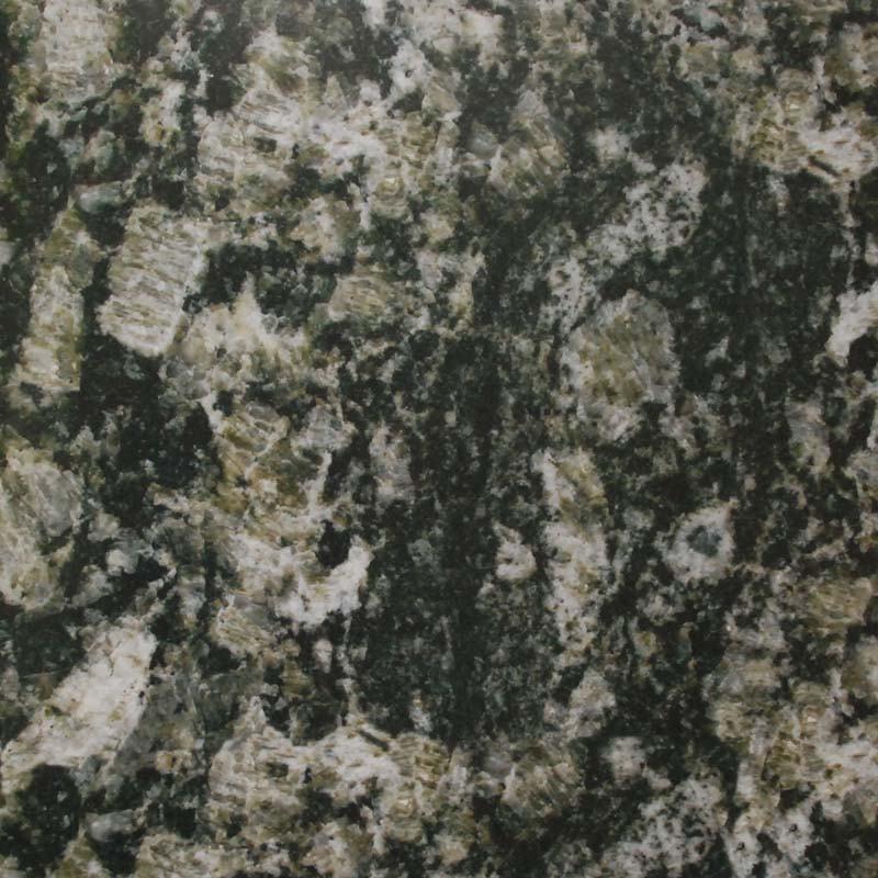 Green of Colored Butterfly Green of Colored Butterfly