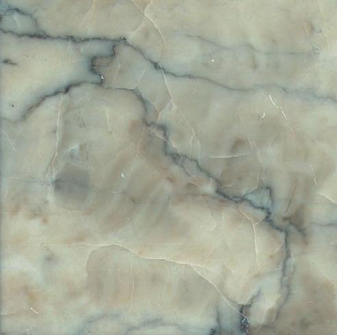 Temple Grey Temple Grey