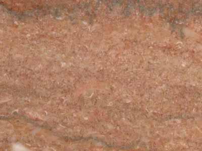 Tennessee Dark Rose Tennessee Dark Rose