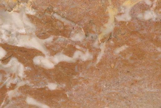 Tennessee Fleuri Tennessee Fleuri