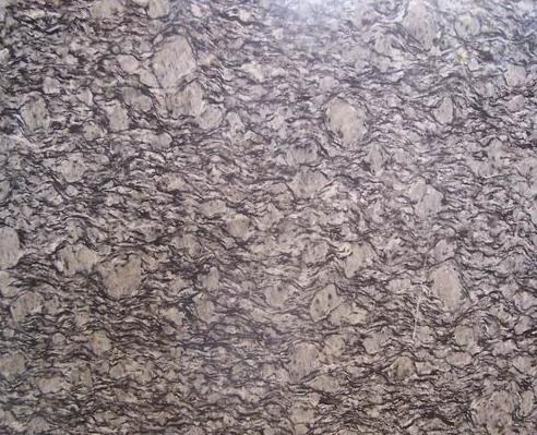 Tidal Flower Tidal Flower