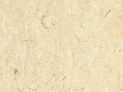 Tiger Beige Tiger Beige