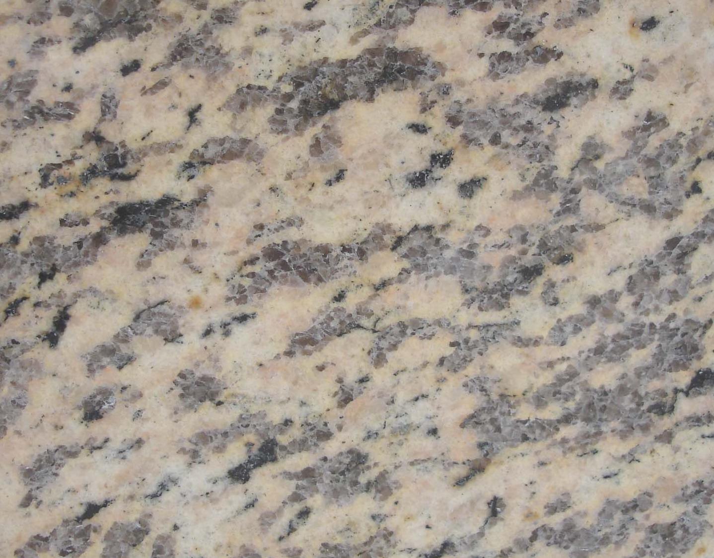 Tiger Skin Tiger Skin