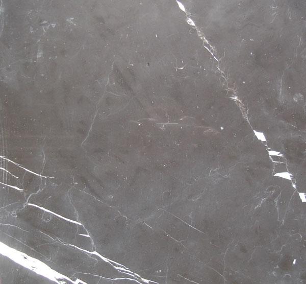 Toros Black Toros Black