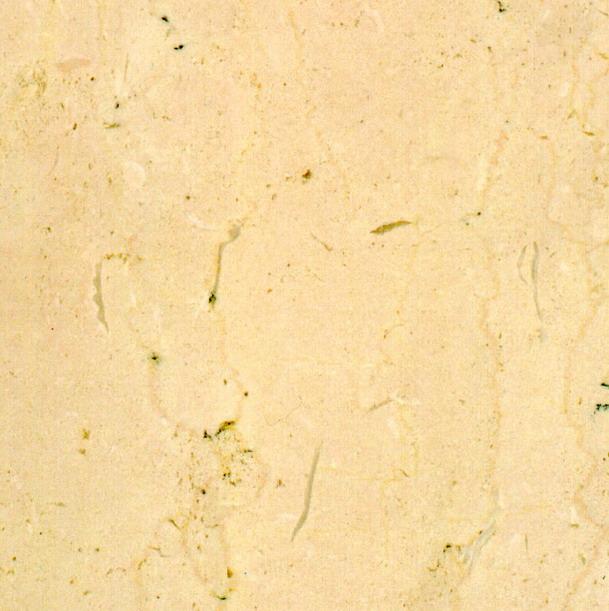 Trani Fiorito Trani Fiorito