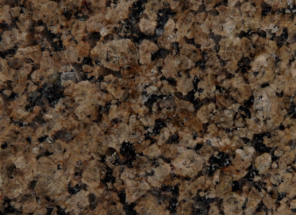 Tropic Brown Tropic Brown