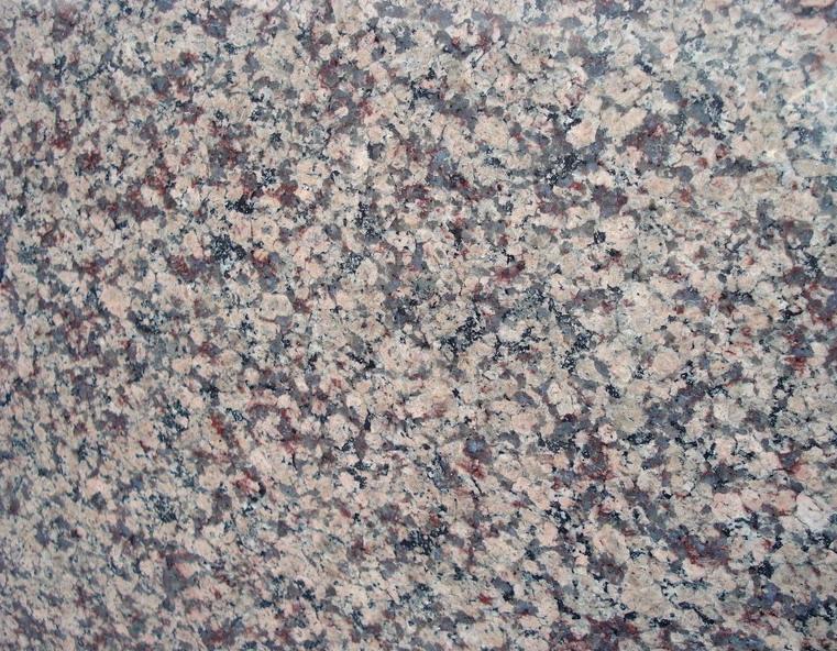 Tropical Violetta Tropical Violetta