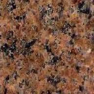 Hibiscus Rose Hibiscus Rose