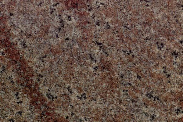 Gran Violet Gran Violet