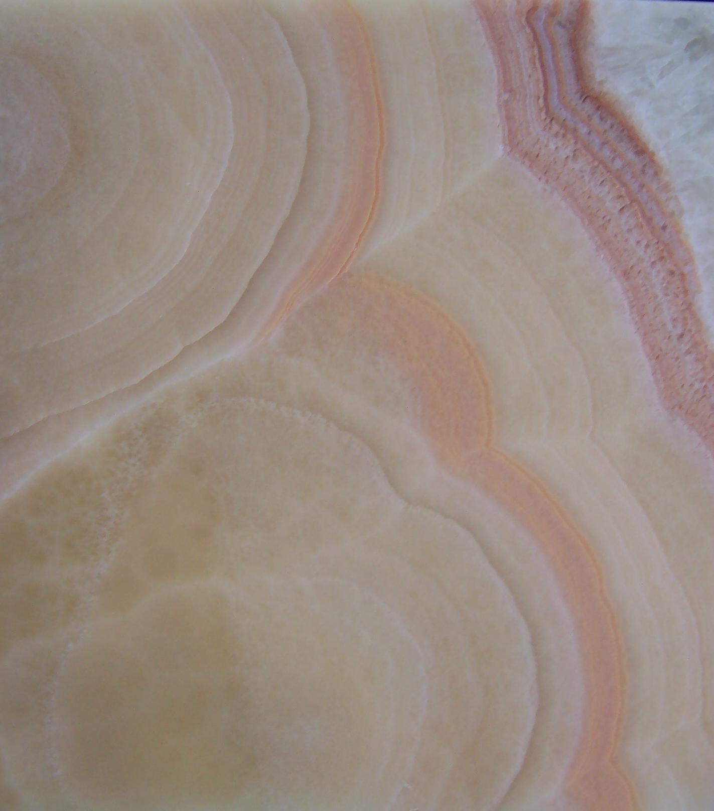 Golden Honey Golden Honey