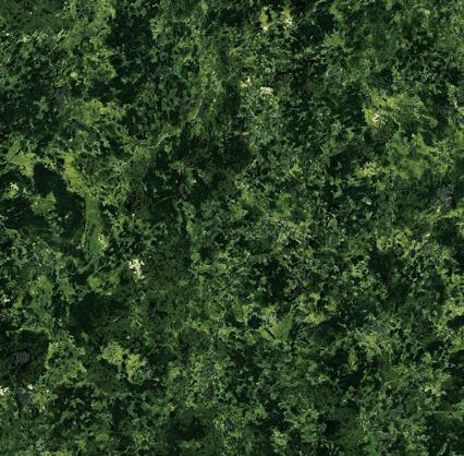 Green Bowenite Green Bowenite