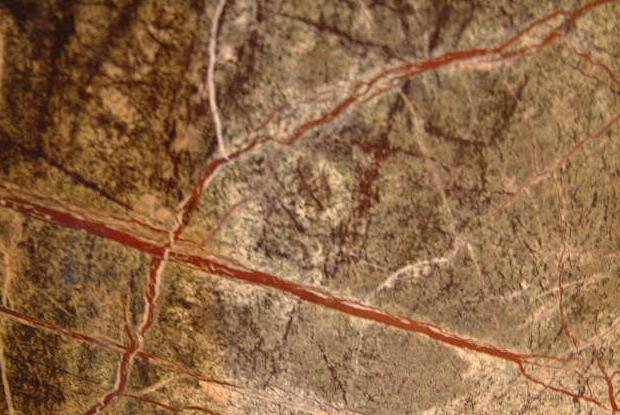 Green Glory Green Glory