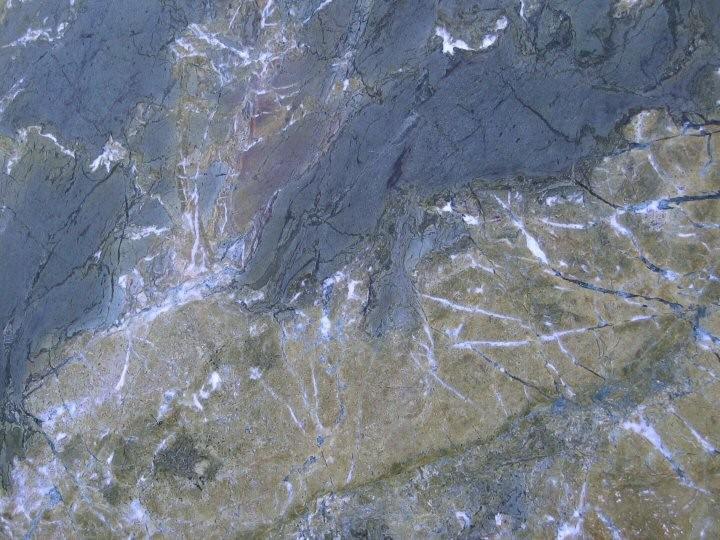 Golden Musk Golden Musk