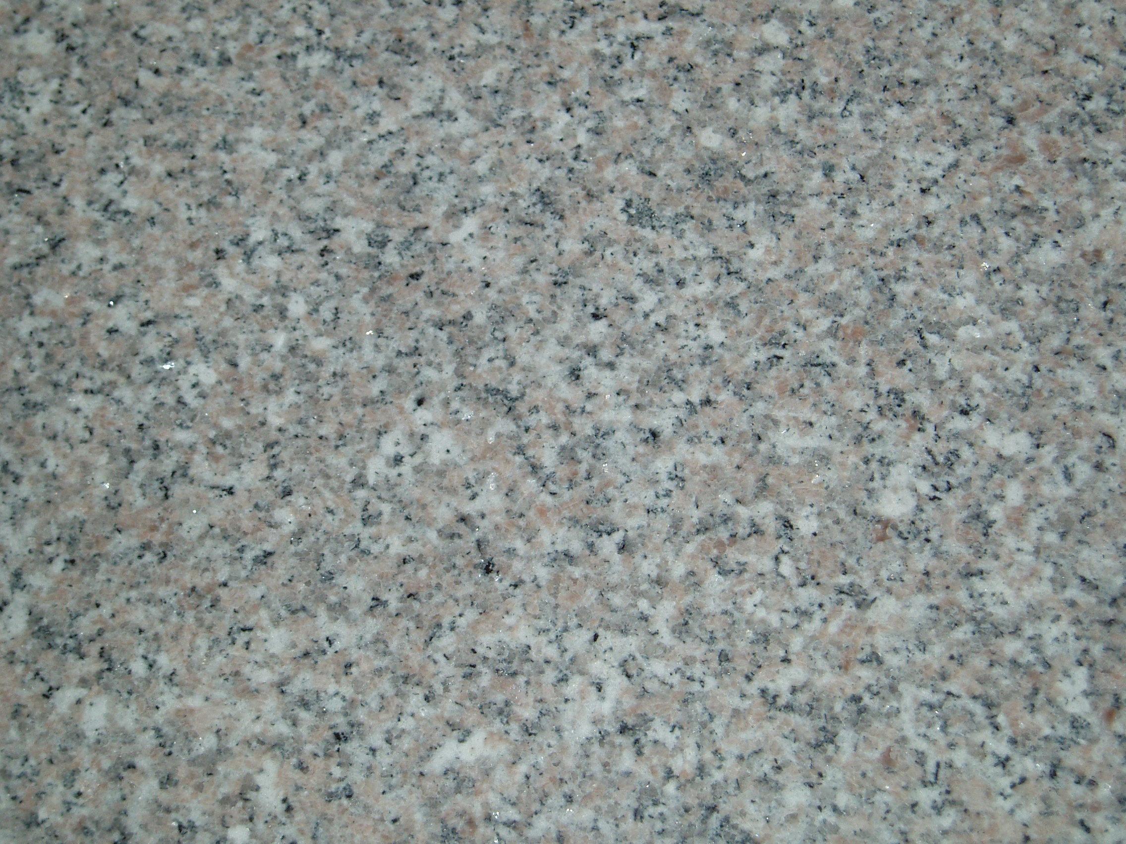 Beige Rose Beige Rose