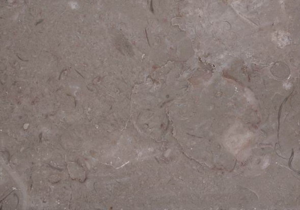 Rose White Rose White